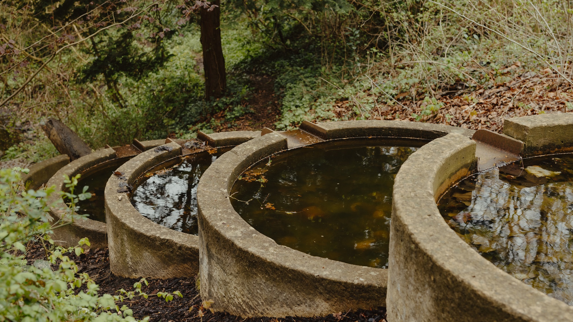 slide image 1