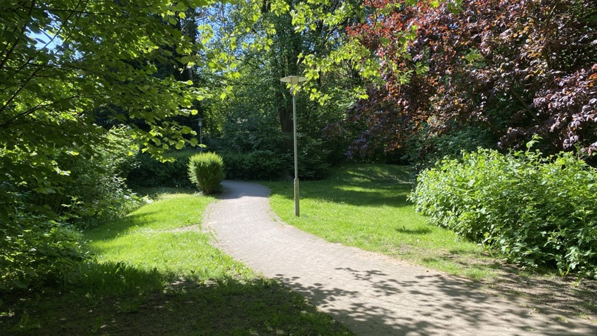 slide image 2